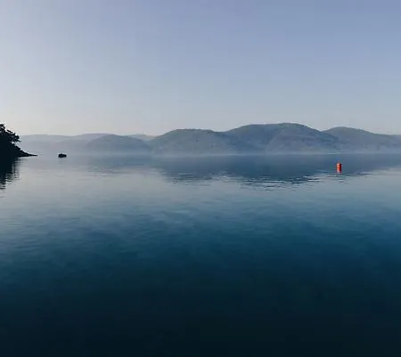 Filika * Акьяка